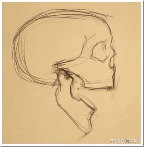 drawing an open mouth skull sketch Open Jaw Skull Drawing, Skull From The Side Drawing, Skull Drawing Reference Sketch, Side Of Skull Drawing, Open Mouth Drawing Side View, How To Draw A Skull Side View, Jaw Open Reference, Open Jaw Reference, Ripped Mouth Drawing