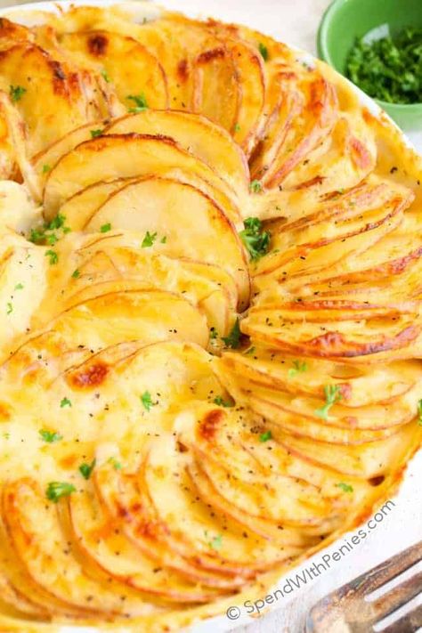 Augratin Potatoes, Au Gratin Potato Recipes, Gratin Potatoes, Layered Potato, Au Gratin Recipes, Cheese Potato, Cheesy Potato Casserole, Baked Potato Casserole, Cheesy Potato