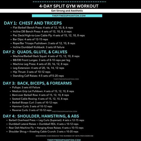 The 4-day workout split focuses on all major muscle groups within a week. It allows ample recovery time between workouts, which is crucial for building muscle and avoiding injury. The 4-day workout split can be customized to fit your fitness level and goals, with the ability to adjust weights and reps as needed. Full Routine: https://thefitnessphantom.com/4-day-gym-workout-schedule-for-gain Workout Split Schedule, 4 Day Workout Split, Best Chest Workout Routine, 4 Day Split Workout, Gym Workout Schedule, 4 Day Workout, Major Muscle Groups, Chest Workout Routine, Workout Split