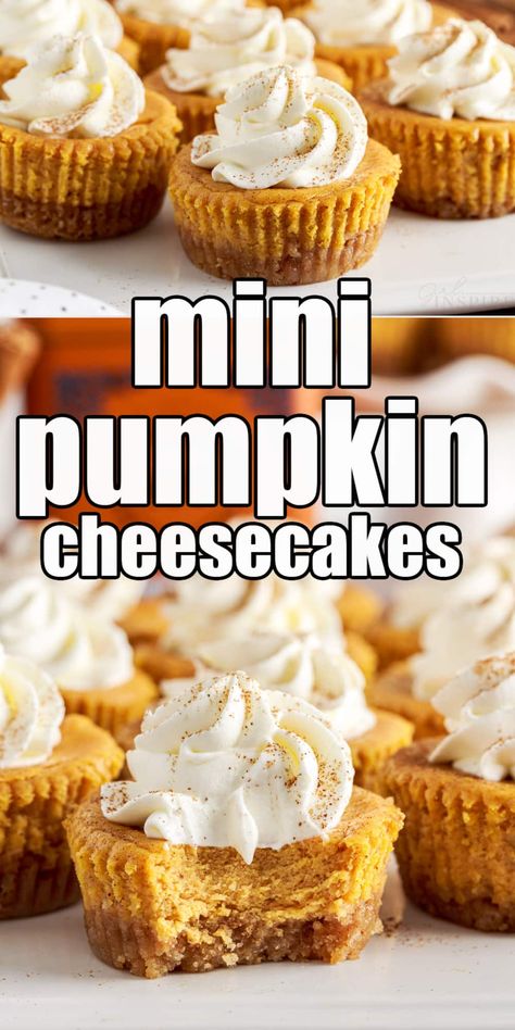 Pumpkin Cheesecake Tarts Mini, Pumpkin Cheesecake Bites Easy, Pumpkin Cheesecakes Mini, Mini Cheesecakes Pumpkin, Mini Pumpkin Desserts Easy, Mini Pumpkin Pie Cheesecake Recipe, Mini Pumpkin Cheesecake Recipes Easy, Pumpkin Spice Mini Cheesecakes, Individual Pumpkin Cheesecake Cups