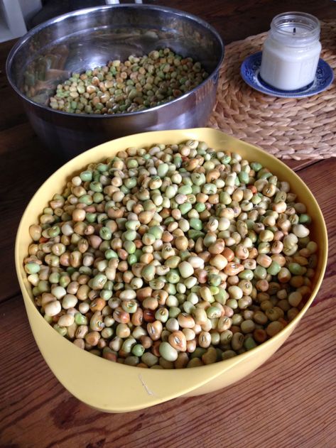 How To Freeze Peas, Crowder Peas Recipe, Crowder Peas, Garden Vegetable Recipes, Field Peas, Red Peas, Freezing Fruit, Freezing Vegetables, Freezing Food