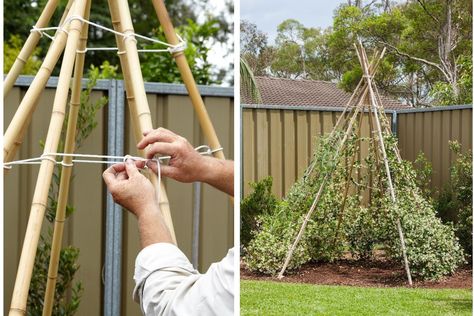 Teepee Garden Trellis, Pumpkin Teepee, Flower Teepee, Stick Teepee, Trailing Plant Teepee, Teepee Outdoor, Wooden Teepee, Teepee Trellis, Diy Tipi