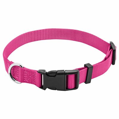 Red Dog Collar, Red Dog, Pink Dog, Red Collar, Pool Patio, Pet Products, Westminster, Pet Collars, Dog Training