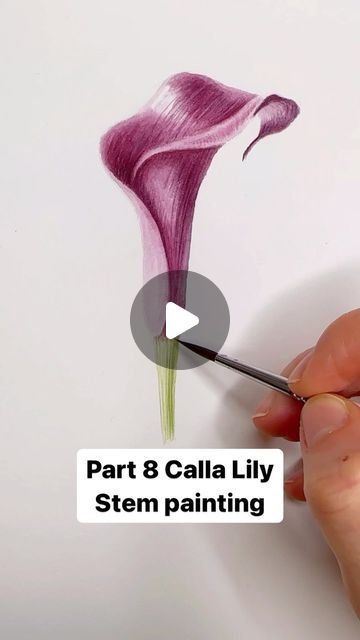 Watercolor Painting Online Coach on Instagram: "Part 8 Calla Lily step-by-step painting process - Stem painting. All previous painting parts #paintstepbystepkristineart Stem painting: ⭐️Put as much effort and attention for the stem as you do for the flower. Poorly painted stem can ruin the whole composition 😅 ⭐️Lots and lots of fine brushstrokes, because this stem has this surface texture (and majority of stems do, because nutrition is going from roots to the flower through veins) ⭐️DON’T RUSH STEM PAINTING PROCESS 🤩" Calla Lily Painting, Stem Painting, Calla Lily Flowers, Lily Painting, Abstract Watercolor Art, Step By Step Painting, Online Painting, Painting Process, Online Coaching