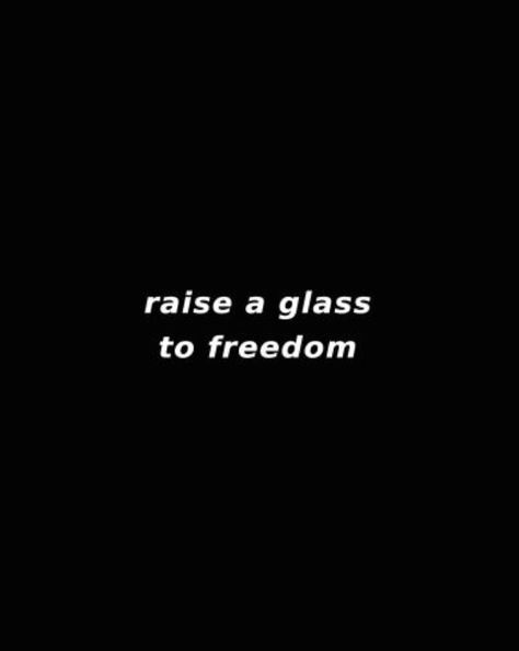 "Levante um copo para a liberdade." Pandaren Monk, These Broken Stars, John Laurens, My Aesthetic, Alexander Hamilton, Aesthetic Boy, Sirius Black, High Fantasy, Les Miserables