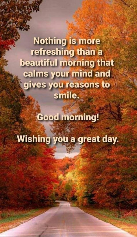 Good Morning Fall Images, Good Morning Fall, Quotes To Start Your Day, Fall Pics, Positive Good Morning Quotes, Beautiful Good Morning, Good Morning Spiritual Quotes, Good Morning Sunshine Quotes, Happy Morning Quotes