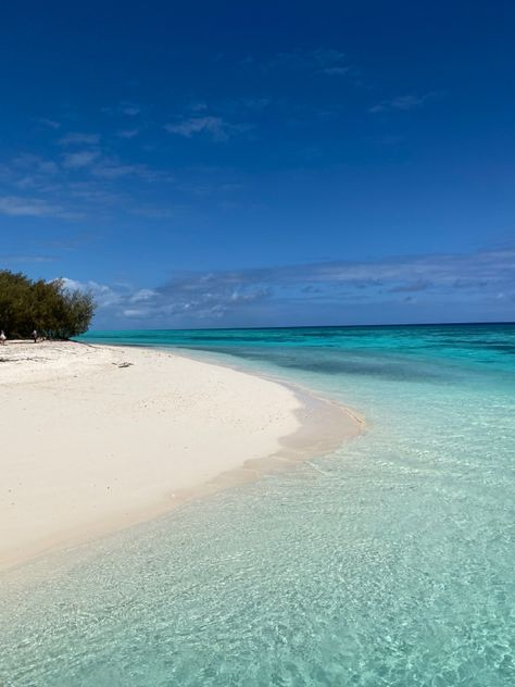 Island, tropical island, Heron Island, GBR, Australia, beach, clea water, white beaches, perfect beaches, beach aesthetic Heron Island, Australia Beach, Tropical Island, Island Beach, Tropical Islands, Beach Aesthetic, Beach Vibe, Beach Life, Dream Life