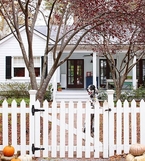 Yard Privacy, Budget Landscaping, Front Yards Curb Appeal, Privacy Fence Designs, Landscaping Tools, Front Fence, White Fence, Backyard Privacy, Front Yard Fence