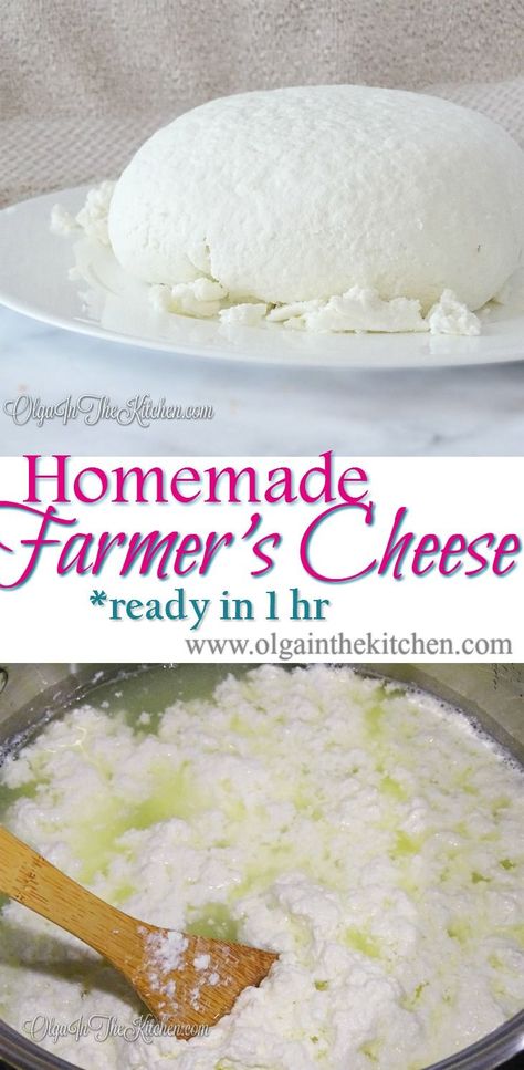 Homemade Farmer's Cheese: A 2-ingredient easy homemade farmer's cheese recipe ready in an hour to create delicious meals. |olgainthekitchen.com Farmers Recipes, Farmers Cheese Recipes, Homemade Ricotta Cheese, Homemade Cottage Cheese, Cheese Recipes Homemade, Farmer’s Cheese, Cheese Making Recipes, Farm Cheese, Goat Milk Recipes