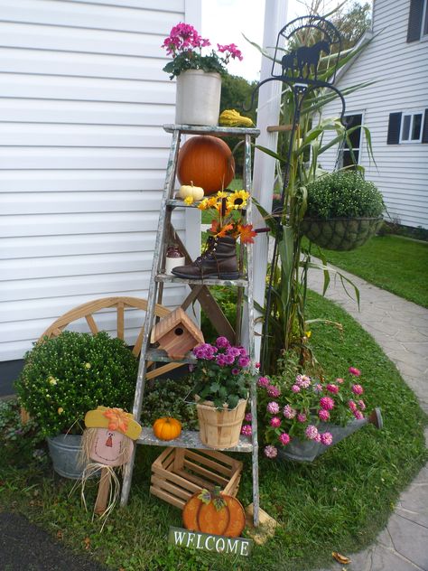 My fall ladder decoration. Fall Ladder Decor, Fall Ladder Decor Ideas, Outdoor Ladder Decor, Diy Fall Front Porch Decor, Garden Ladder Ideas, Fall Porch Decorations, Wooden Ladders, Old Wooden Ladders, Garden Ladder