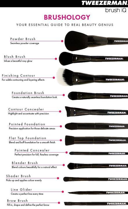 Makeup brush shapes explained Brushes For Makeup, Diy Makeup Brush Cleaner, Make Up Kits, Diy Makeup Brush, Makeup Brush Uses, Makeup Lipgloss, Kuas Makeup, Brush Guide, Ideas De Maquillaje Natural