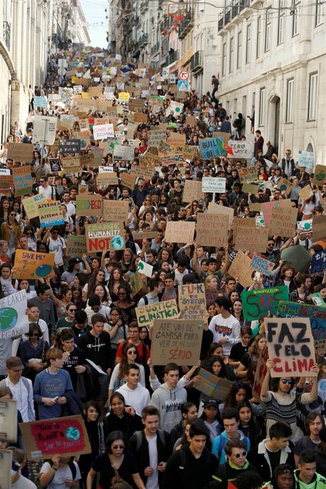 Students around the world cut class to demand action on climate change Nature Sustainability, Food Recipes Vegetarian, Climate Action, Pretoria, Recipes Vegetarian, E Learning, Save Earth, Lives Matter, Black Lives