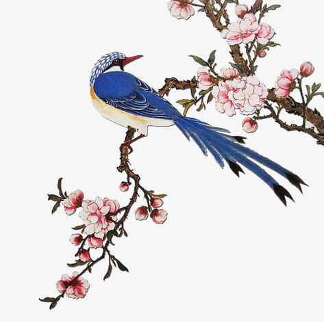 Chinese Flowers, Chinese Flower, Bird Clipart, Hand Embroidery Kits, Png Background, Bird Canvas, Lukisan Cat Air, China Art, Bird Drawings