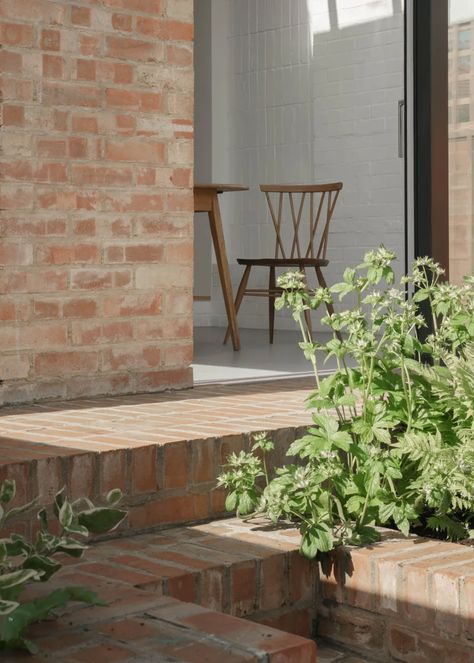 Alder Brisco, Nick Dearden - Building Narratives · Creer House · Divisare Unbuilt Architecture, Nz Plants, Concrete Lintels, Exterior House Doors, Brick Courtyard, Brick Extension, Architecture Courtyard, Brick Steps, Garden Paving