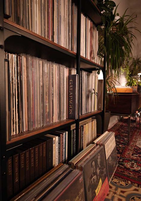 Record Collection Living Room, Record Storage Aesthetic, Cozy Jazz Aesthetic, Jazz Aesthetic Bedroom, Record Collection Aesthetic, Vinly Recorder, Vinyl Collection Aesthetic, Record Collection Display, Vinyl Record Room