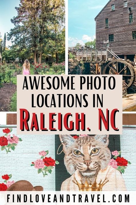 Oct 10, 2020 - Heading to Raleigh, North Carolina? Here is your guide to the most Instagrammable and photo-worthy places to photograph in Raleigh, NC! Raleigh Photography Locations, Raleigh Photography, Instagramable Places, Nc Travel, Love And Travel, Nc Photography, Visit North Carolina, Vacay Ideas, Snap Photos