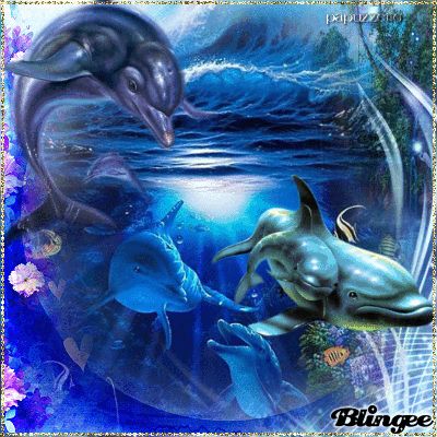 Dolphins Seaside Pictures, Sea Life Wallpaper, Dolphin Images, Dolphin Painting, Dolphins Tattoo, Dolphin Art, Bottlenose Dolphin, Underwater Animals, Butterfly Pictures