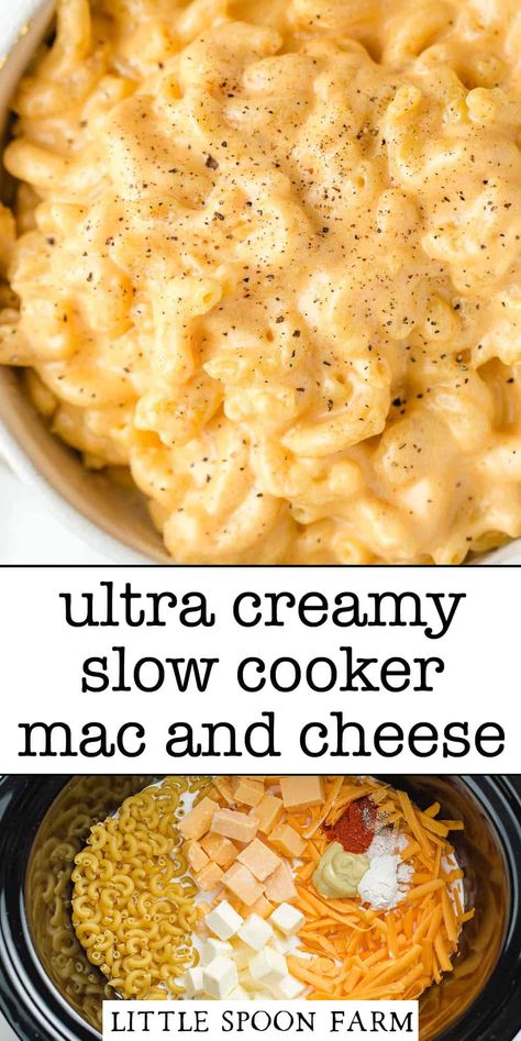 Slow Cooker Mac And Cheese, Crock Pot Mac, Slow Cooker Pasta Recipes, Slow Cooker Pasta, Scooby Snacks, Thanksgiving Menu Ideas, Crockpot Dishes, Crockpot Recipes Slow Cooker, Dinner Recipes Crockpot