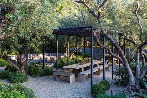 An outdoor dining area, and, in the background, a seating area made of concrete benches with cushions. Xeriscape Landscaping, Malibu Home, Tin House, Outdoor Seating Area, Gravel Garden, Patrick Dempsey, Frank Gehry, Mediterranean Garden, Outdoor Dining Area