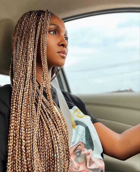 Medium Knotless Box Braids Blonde And Brown, Hair Colour Ideas For Braids, Multi Colored Blonde Box Braids, 350 Box Braids Color Mixed, Box Braids With Mixed Colors, 27 Color Box Braids, Brown And Blond Braids Black Women, Brown Mixed Colour Braids, Coloured Knotless Braids For Black Women