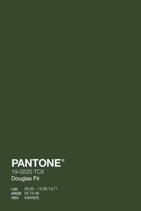 Get ready for winter with the fresh and cozy PANTONE Gouglas Fir 19-0220 TCX green. This color will give your wardrobe an instant refresh and keep you feeling warm without compromising style. Get your grinch on early with green! #PantoNE #PineGrove #WinterWardrobe #green #wintercolor Pantone Dark Green Shades, Forest Green Color Swatch, Pantone Shades Of Green, Dark Green Color Swatch, Forest Green Shades, Fall Green Aesthetic, Green Pantone Colors, Green Pantone Palette, Forest Green Pantone