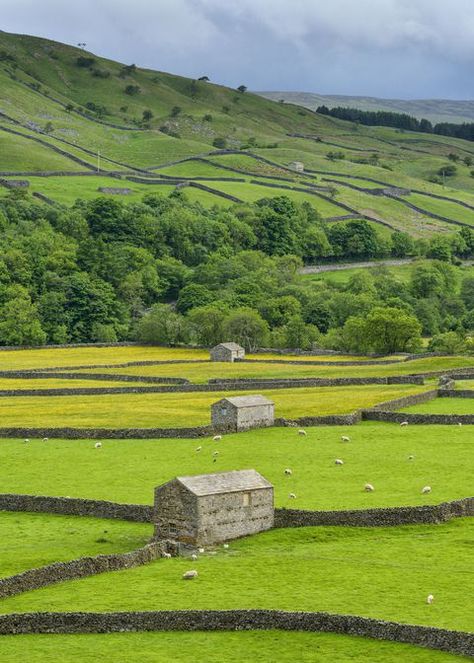 England Countryside, Countryside Landscape, Last Ride, Green Hills, British Countryside, Stone Walls, Yorkshire Dales, England And Scotland, Landscape Pictures