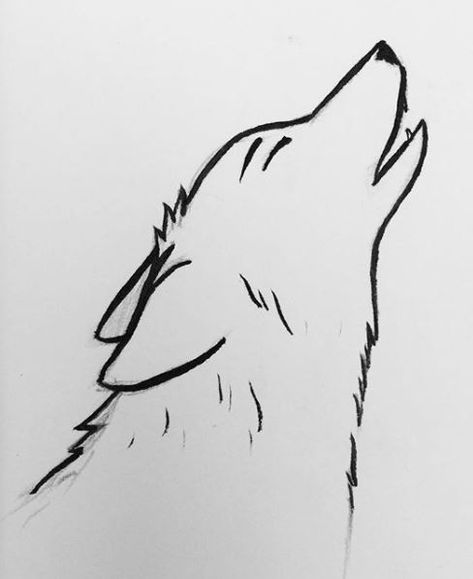 Drawing Of Wolf, Wolf Drawing Ideas, Drawing Wolf, Wolf Drawings, Wolf Designs, Drawing Ideas For Beginners, Cute Wolf, Photography Wildlife, Wolf Drawing