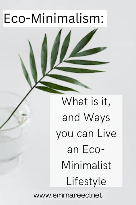 Eco-Minimalism: What is it, and Ways you can Live an Eco-Minimalist Lifestyle – Emma Reed Eco Minimalist, Eco Minimalism, Organic Minimalism, New Lifestyle, Material World, Embrace It, Declutter Your Home, Minimalist Lifestyle, Metal Straws