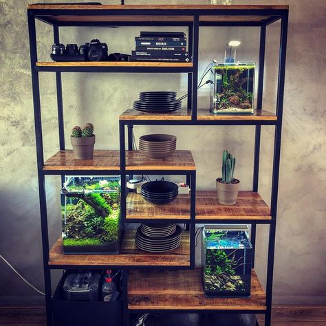 Bookshelf With Fish Tank, Fish Tank Rack Ideas, Aquarium Shelf Ideas, Aquarium Rack Ideas, Fish Tank Shelf Ideas, Fish Tank Shelf, Aquarium Rack, Fish Tank Rack, Nano Aquascape