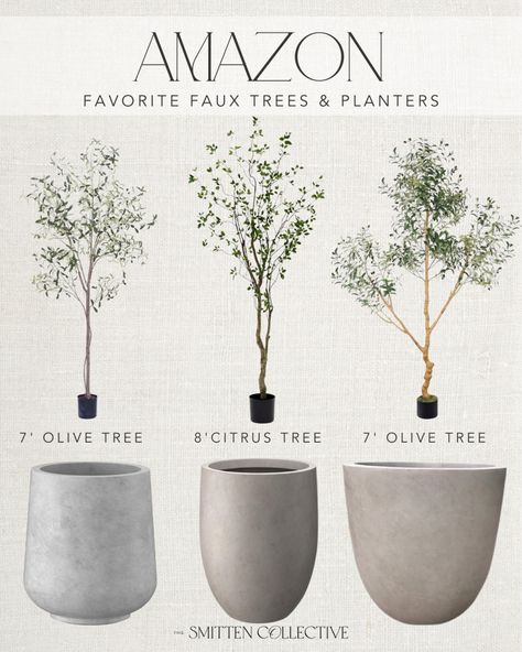 Phimos 7FT Artificial Olive Tree … curated on LTK Olive Trees Landscape Front Yards, Indoor Tree Planter Pots, Olive Tree Entryway, Large Faux Plants, Fake Olive Tree Home Decor, Indoor Olive Trees In Pots, Olive Tree Decor Ideas, Olive Tree Pot, Olive Tree Planter