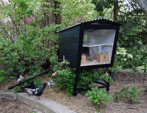 Chicken coopDimitri VroonenSint-Truiden 2013A new chicken coop to see the chickens from the house, raised against predators and moisture.In the chicken coop, five nest boxes are provided.The entrance can be locked at night. For... Urban Chicken Coop, Quail Coop, Small Chicken Coops, Nest Boxes, Shade Grass, Chicken Tractors, Coop Design, Chicken Run, Chicken Coop Designs