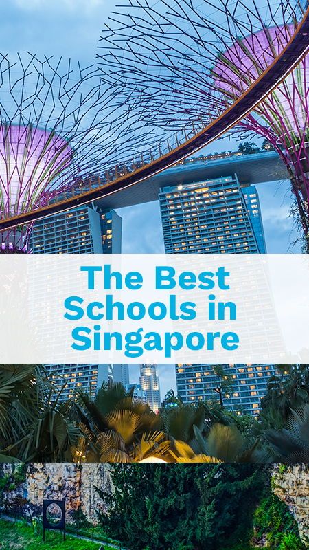 Best Schools in Singapore Many schools in Singapore offer first class education. Discover our selection of the Best International Schools in #Singapore Singapore School, Math Board, Singapore Art, Best Schools, Asian Culture, Tuition Fees, Boarding School, International Day, International School