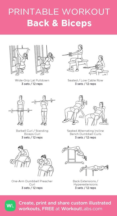 Rutina de bíceps Back And Bis, Back And Bicep Workout, Workout Morning, Workout Labs, Back Workout Women, Workout Gym Routine, Printable Workout, Calf Exercises, Gym Workout Plan For Women