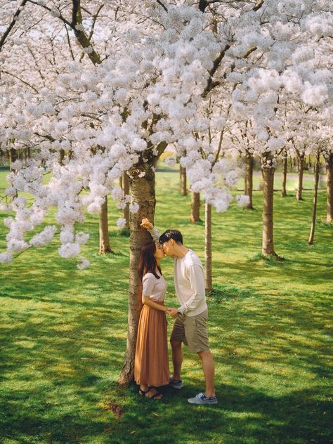 Jakaranda Photoshoot, Cherry Blossom Couple Photos, Cherry Blossom Family Photos, Cherry Blossom Couple, Cherry Blossom Photoshoot, Blossom Photoshoot, Blossom Pictures, Cherry Blossom Pictures, Photo Journalism