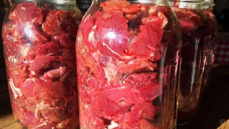 Amish jarred beef in glass jars. How To Can Beef Pressure Canning, Canning Beef Stew Meat, Canning Raw Meat, Canning Goose Meat, Pressure Canning Meat Recipes, Canning Deer Meat, Raw Pack Canning, Homestead Rescue, Meat Canning