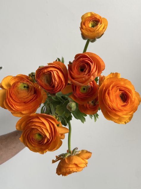 Poppy Peony Bouquet, Orange Ranunculus Centerpiece, Types Of Orange Flowers, Citrus Bridal Bouquet, Rust Colored Flowers, Renuculas Bouquet, Green And Orange Wedding Flowers, Olive And Orange Wedding, Orange Flower Arrangements Wedding