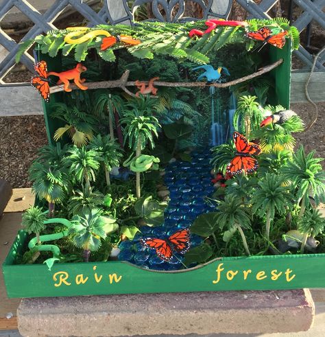 Rainforest Habitat Diorama (animals Are Printable Shoebox Habitat, Rain Forest Diorama, Ecosystems Diorama, Rainforest Crafts, Habitat Project, Rainforest Ecosystem, Biomes Project, Rainforest Project, Rainforest Biome