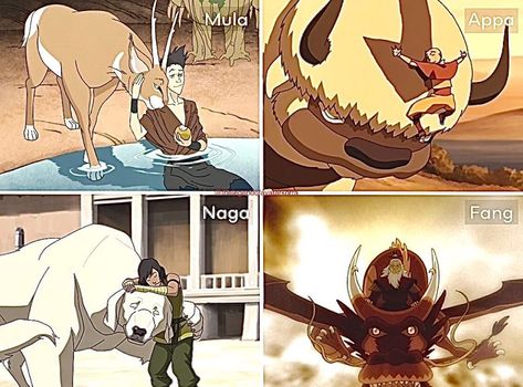 Avatar The Last Airbender Animals, Atla Animals, Avatar Animals, Avatar State, Yip Yip, Korra Avatar, The Last Avatar, The Avatar, Animal Guides