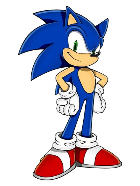 Amy Sonic, Mickey Mouse Bedding, Tails Sonic, Sonic Sonic, Nine Tails, Sonic Adventure 2, Characters Inspiration, Logo Design Inspiration Creative, Sonic Fan Characters