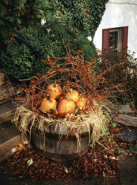 Fall Autumn Pumpkin Barrel Display Urn Pumpkin Decor, Fall Barrel Decor, Fall Whiskey Barrel Planter, Fall Planter Decorating Ideas, Fall Barrel Planter Ideas, Late Summer Early Fall Aesthetic, Pumpkin Display Ideas, Fall Outdoor Planter Ideas, Fall Containers Planters