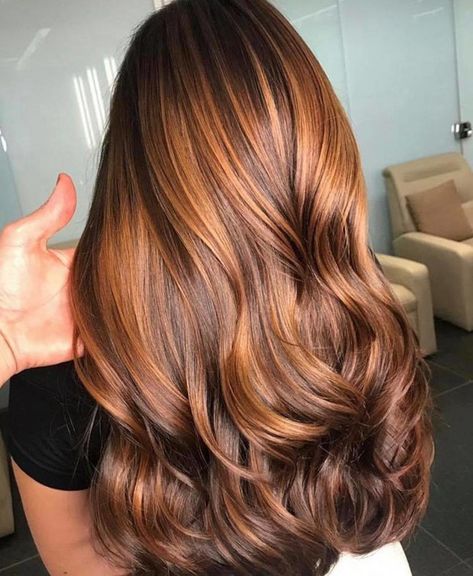 The Mesmerizing Apple Cider Hair Color is Trending for Fall Apple Cider Hair, Balayage Medium, Blonde Ideas, Hair 50, Aesthetic Blonde, 2020 Aesthetic, Honey Brown Hair, Caramel Hair, Caramel Highlights