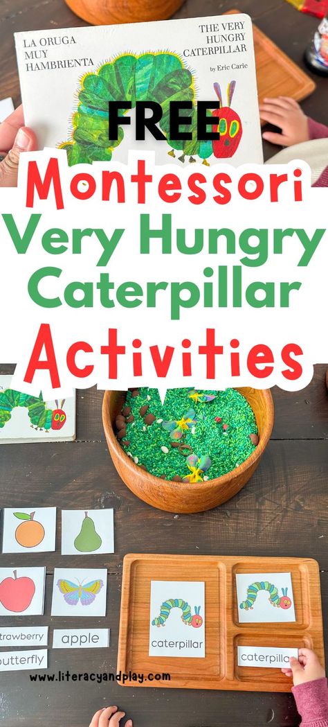 Play-Based Preschool Homeschool Spring Activities with The Very Hungry Caterpillar Book! Create fun learning environment with these activities for your child. Activities included: Play-Doh Mats, Sequencing Activity, Position Words Activity, Montessori Activities, Days of the Week, and More!! Hungry Caterpillar Preschool, Preschool Insects Activities, The Very Hungry Caterpillar Book, Caterpillar Preschool, Toddler Journal, Caterpillar Activities, The Very Hungry Caterpillar Activities, Caterpillar Book, Hungry Caterpillar Activities