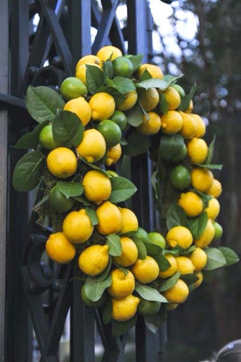 ciao! newport beach: the mystique of a lemon tree Citrus Wreath, Citrus Theme, How To Grow Lemon, Lemon Kitchen, Lowcountry Wedding, Lemon Wreath, Dekor Diy, Italy Holidays, Lemon Decor