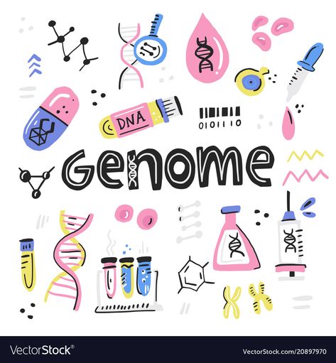 Genome Illustration, Dna Doodle, Medical Doodles, Genetics Aesthetic, Human Genome Project, Biotechnology Art, Biology Drawing, Investigatory Project, Vector Picture