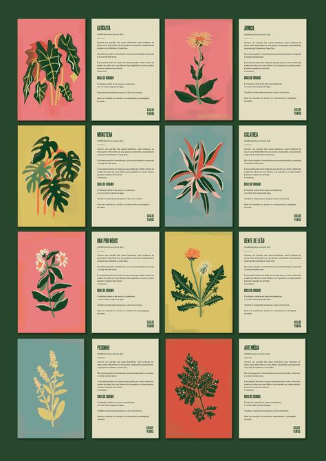 Plant Catalog Design, Botanical Design Graphic, Gardening Graphic Design, Product Flyer Design Inspiration, Plant Shop Branding, Plants Graphic Design, Graphic Design Book Layout, Graphic Design Nature, Garden Graphic Design