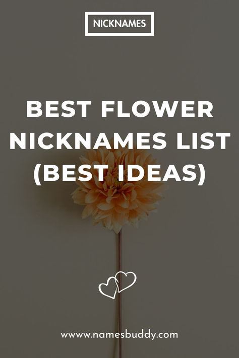 Best Flower Nicknames Nature Nicknames, Flower Nicknames, Nicknames For Girlfriends, Michaelmas Daisy, Allium Flowers, Good Nicknames, Freesia Flowers, Arum Lily, Buttercup Flower