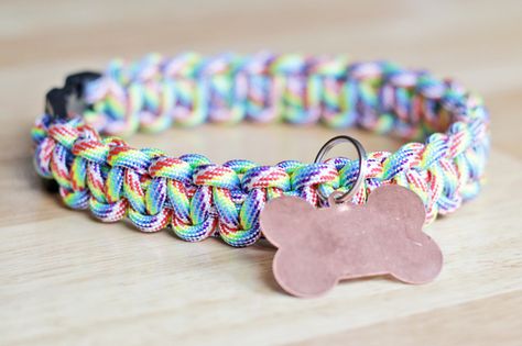 Paracord Dog Collar - Tutorial Katt Diy, Diy Dream Catcher, Paracord Dog Collar, Chat Diy, Diy Dog Collar, Drawer Organization, Paracord Dog Collars, Collars Diy, Practical Kitchen