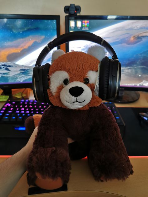 Teddy Aesthetic, Red Panda Plush, Panda Teddy, Red Panda Cute, Panda Plush, Red Pandas, Bear Animal, Beanie Boos, Some Games