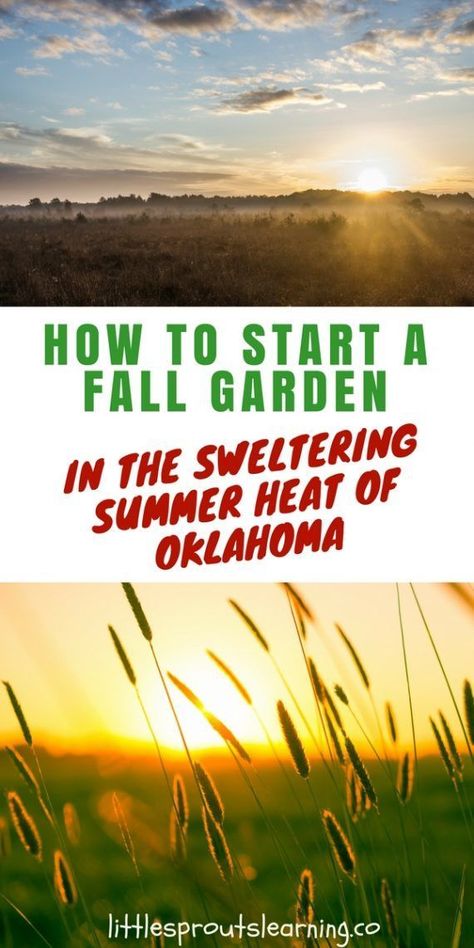 Oklahoma Gardening, Summer In The South, Fall Flowers Garden, Winter Vegetables Gardening, Fall Gardening, Starting Seeds Indoors, Fall Vegetables, Fall Garden Vegetables, Winter Vegetables