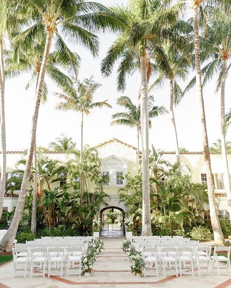 Married in Palm Beach | Palm Beach Wedding Venue | South Florida Wedding | Outdoor Wedding Ceremony | Tropical Beach Wedding Ceremony, Palm Beach Wedding Aesthetic, Palm Beach Wedding Invitations, Florida Wedding Flowers, West Palm Beach Wedding Venues, Tropical Modern Wedding, Boho Wedding Ceremony Decor, West Coast Wedding Venues, Florida Wedding Venues Beach